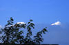 Clouds and a tree